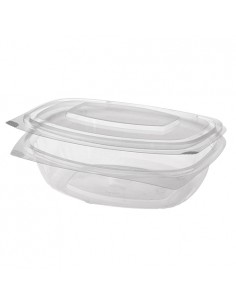 Envases comida tapa bisagra compostables caña azúcar blanco