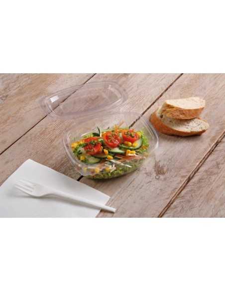 Envase Plastico Redondo con Tapa Bisagra. PET. (No microndable