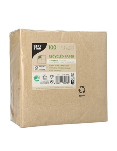 Guardanapos de papel reciclado ecológico 33 x 33 cm