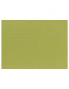 Mantelitos individuales papel verde oliva 30 x 40 cm