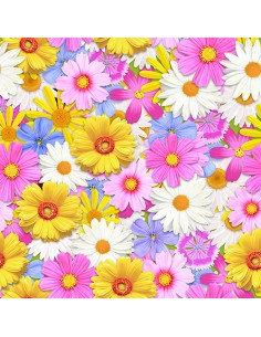 Servilletas de papel decoradas flores de colores 33 x 33 cm Daisies Mix